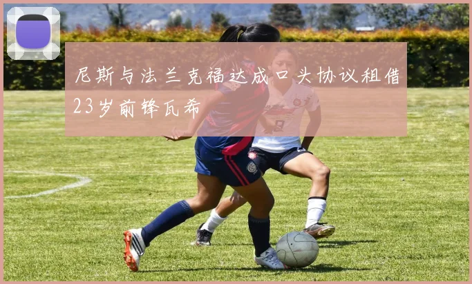 尼斯与法兰克福达成口头协议租借23岁前锋瓦希