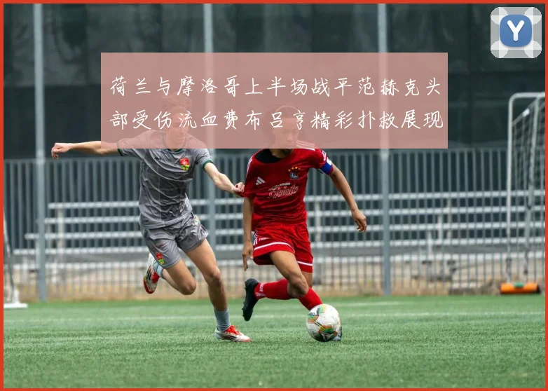 荷兰与摩洛哥上半场战平范赫克头部受伤流血费布吕亨精彩扑救展现实力