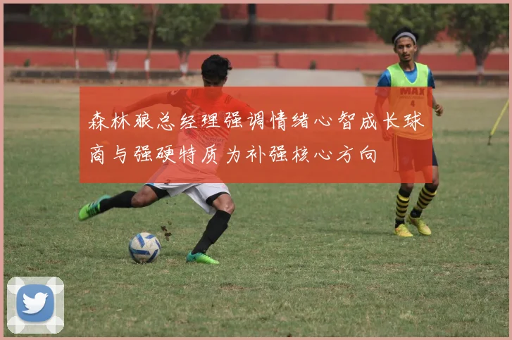 森林狼总经理强调情绪心智成长球商与强硬特质为补强核心方向